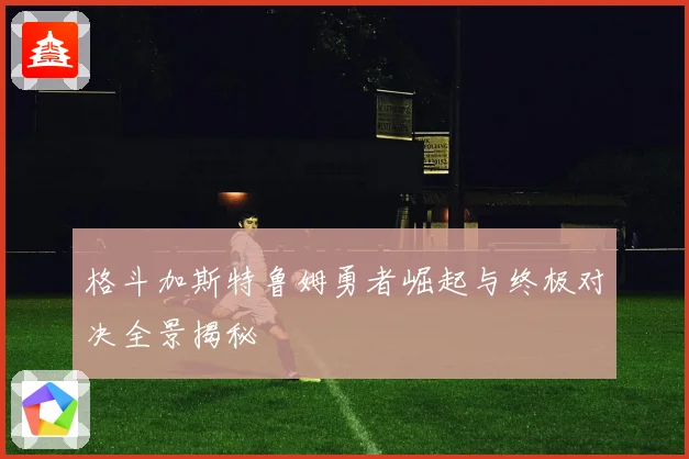 格斗加斯特鲁姆勇者崛起与终极对决全景揭秘
