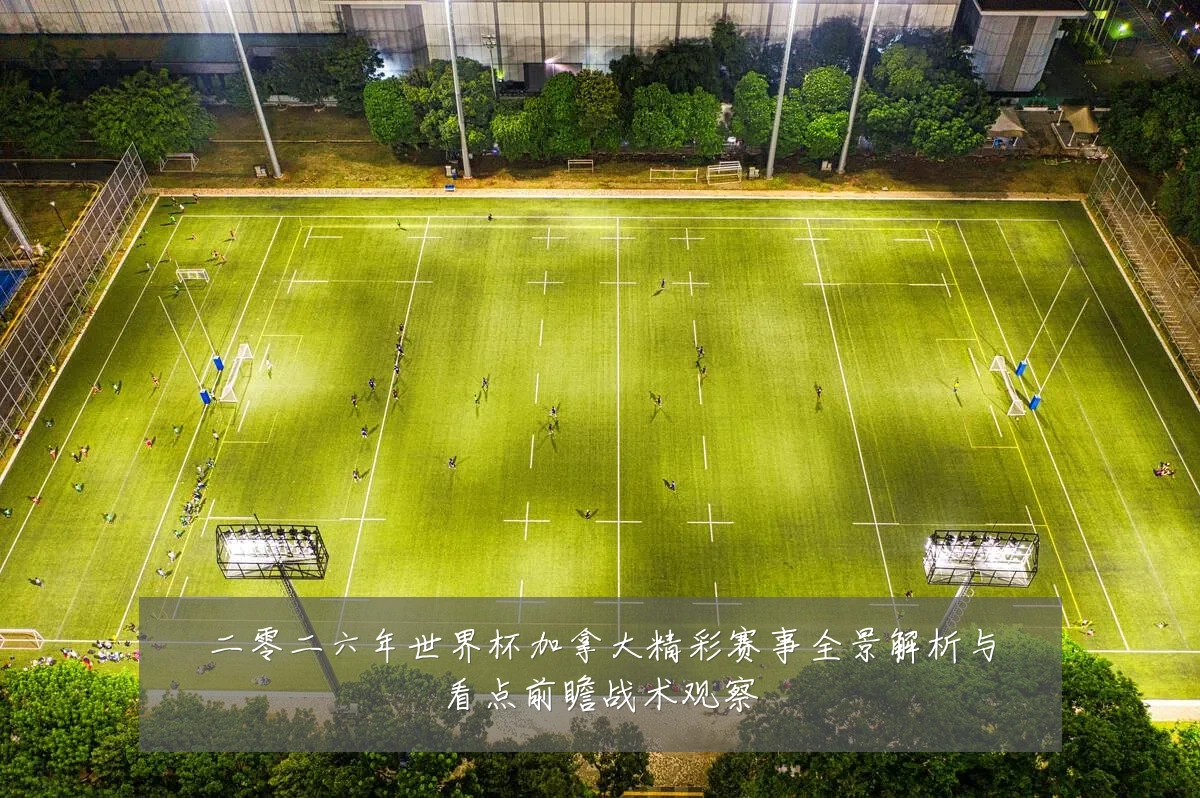 二零二六年世界杯加拿大精彩赛事全景解析与看点前瞻战术观察